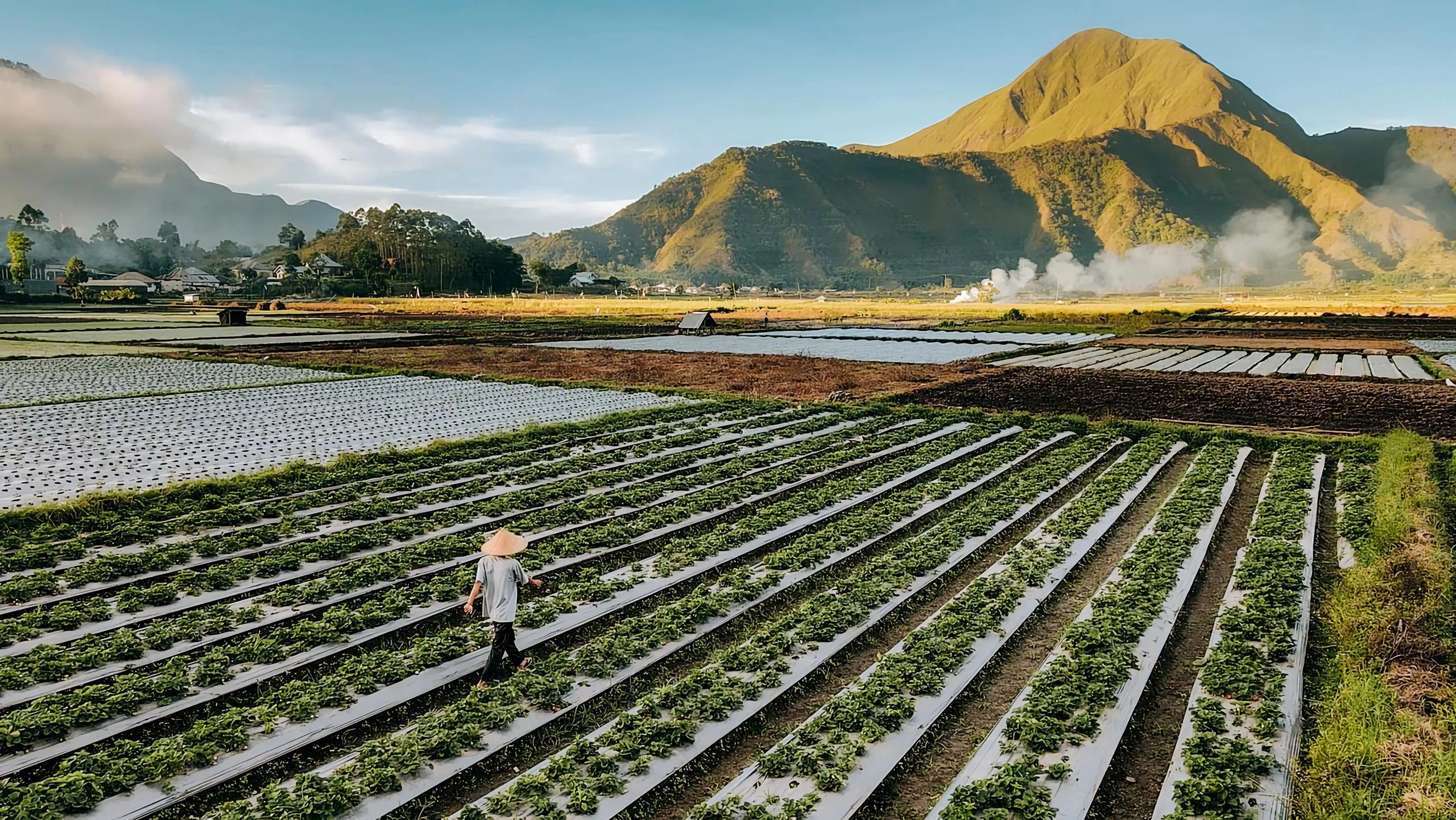 Kebun Strawberry Uluere